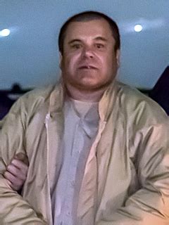 el chapo wikipedia